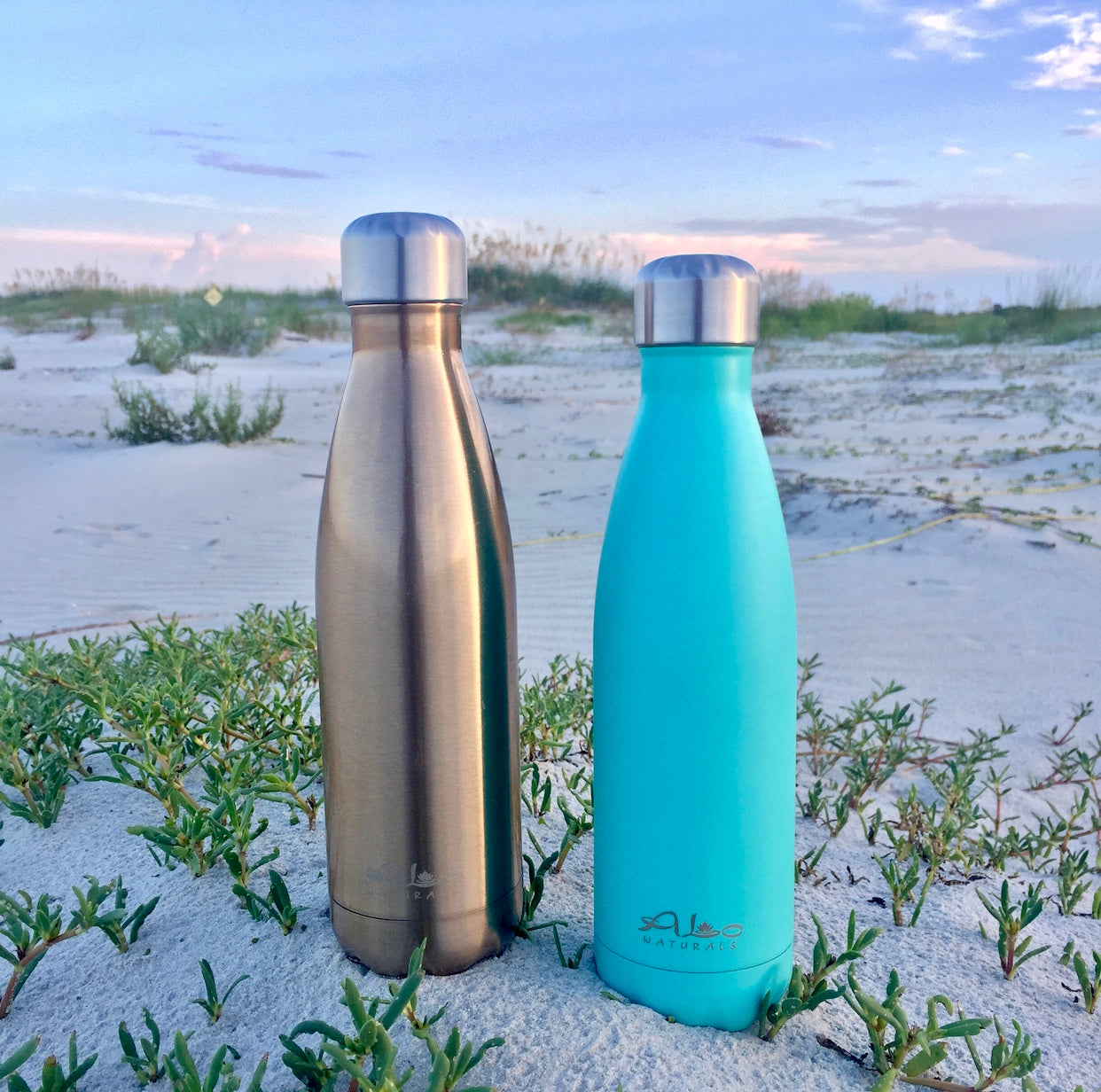 Top Ten Reasons To Use ALo Naturals Stainless Steel Bottles!
