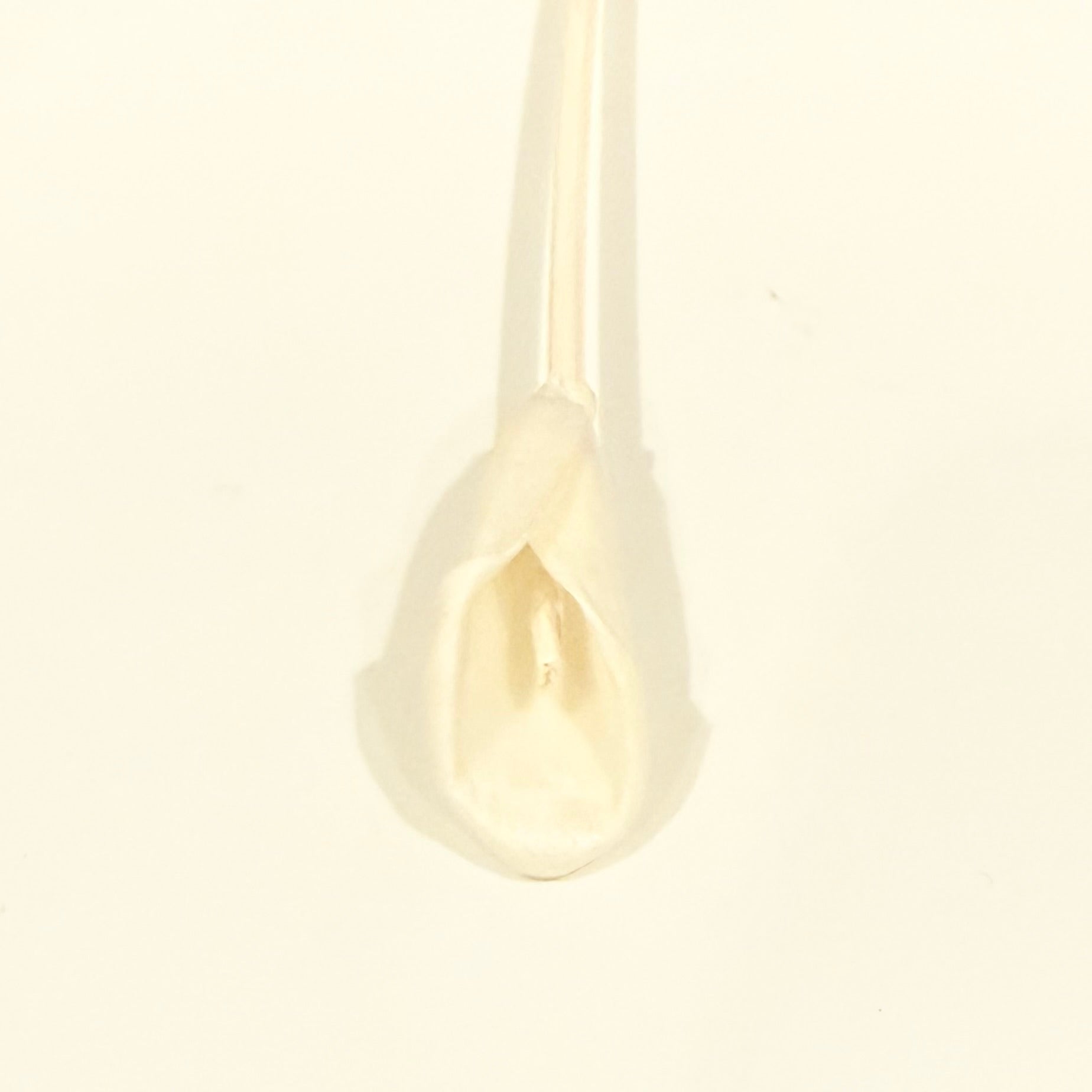 Decorative Diffuser Reeds