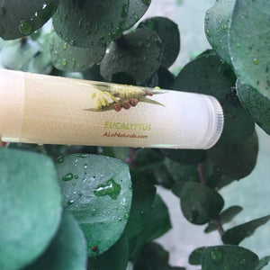 This lip balm contains vitamins A, B, D, E, and protein. It increases collagen production, has anti-aging properties, and aids in heal cold sores.  Eucalyptus is effective for treating many respiratory problems including cold, cough, runny nose, sore throat, asthma, nasal congestion, bronchitis, and sinusitis. It also serves as a stimulant.