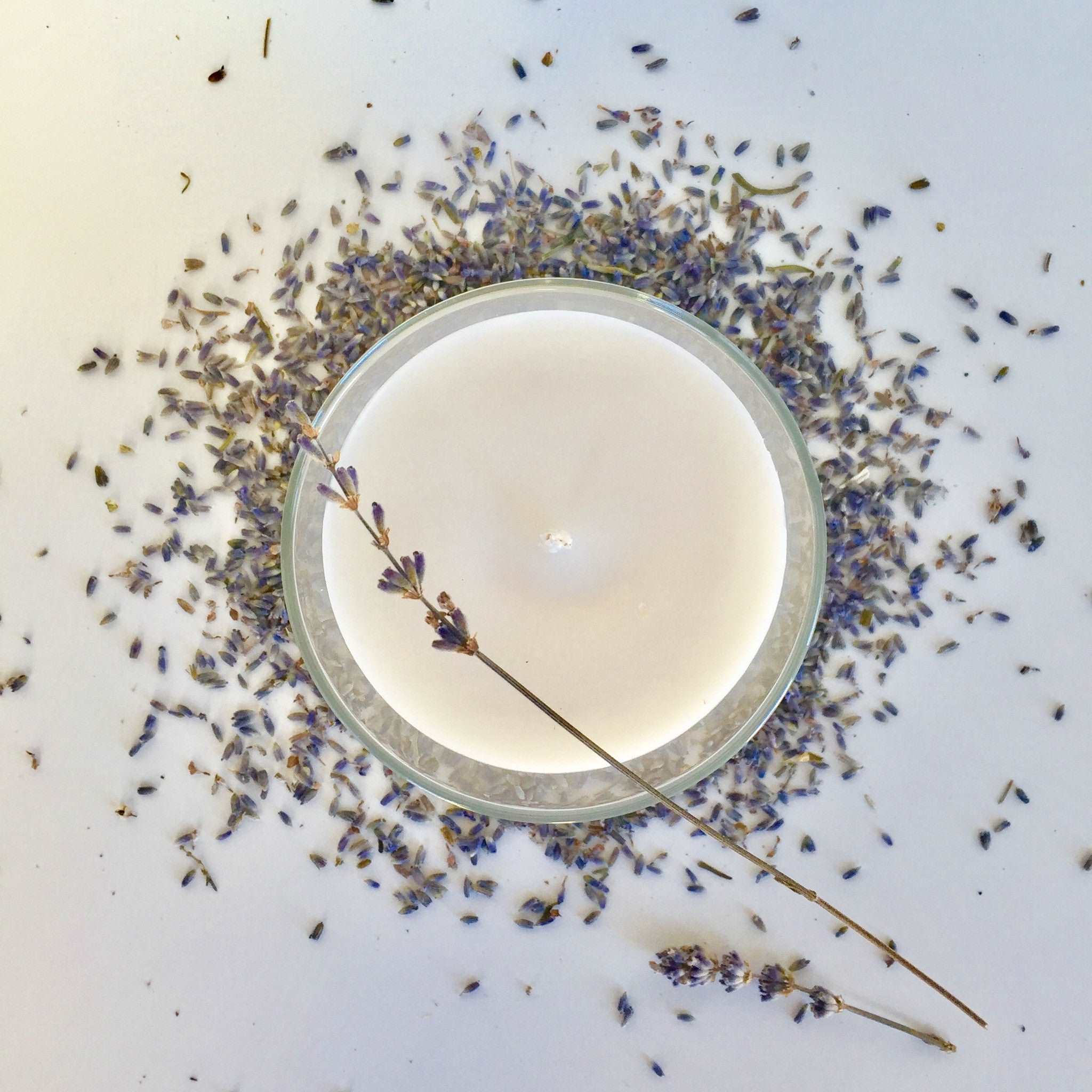 Lavender has a lovely herbal scent which helps promote relaxation. It is useful for treating anxiety, insomnia, depression, and restlessness.  This all natural soy candle will fill the room with the calming fragrance of Lavender!  Over 65 hours of burn time!