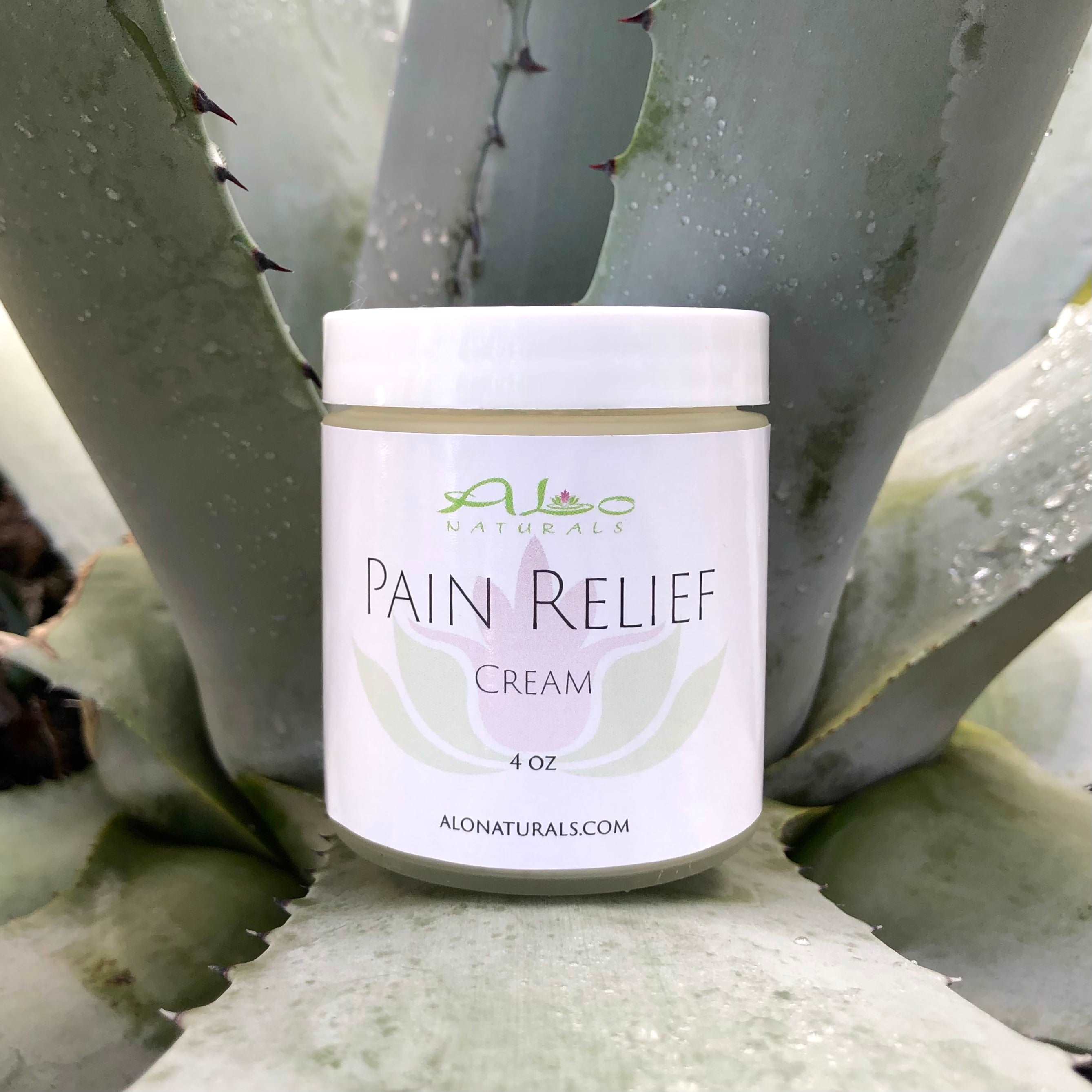 Best Sellers  ALo Naturals
