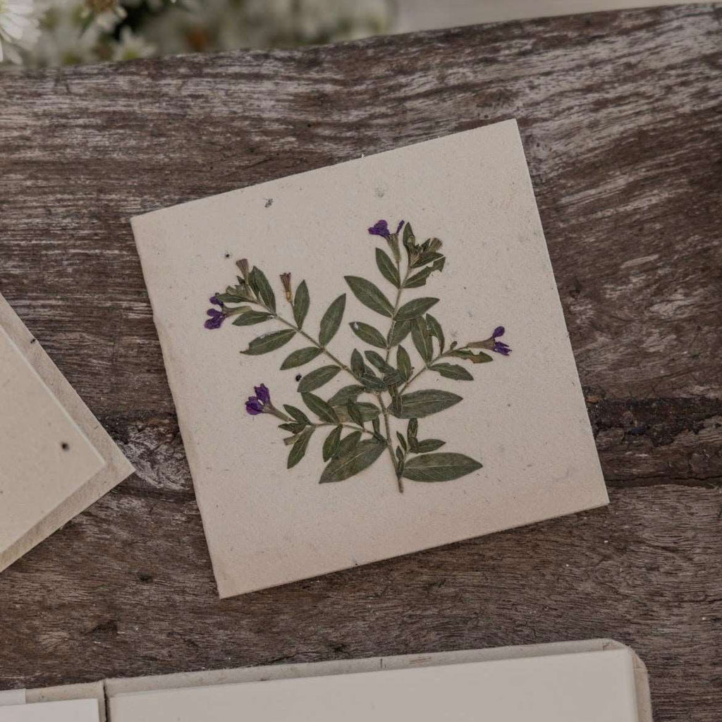 Note Card