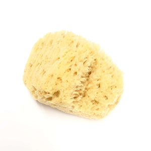 Our Dead Sea Bath Sponges have a gentle, soft texture and can be used for both facial and body applications in the bath or shower.  Each one is unique.